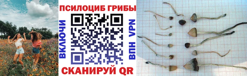 Галлюциногенные грибы Magic Shrooms  Россошь 